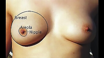 A Selection Of Large-Breasted Women With Natural Boobs