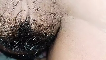 Toying With A Hairy Asian Cock On Webcam